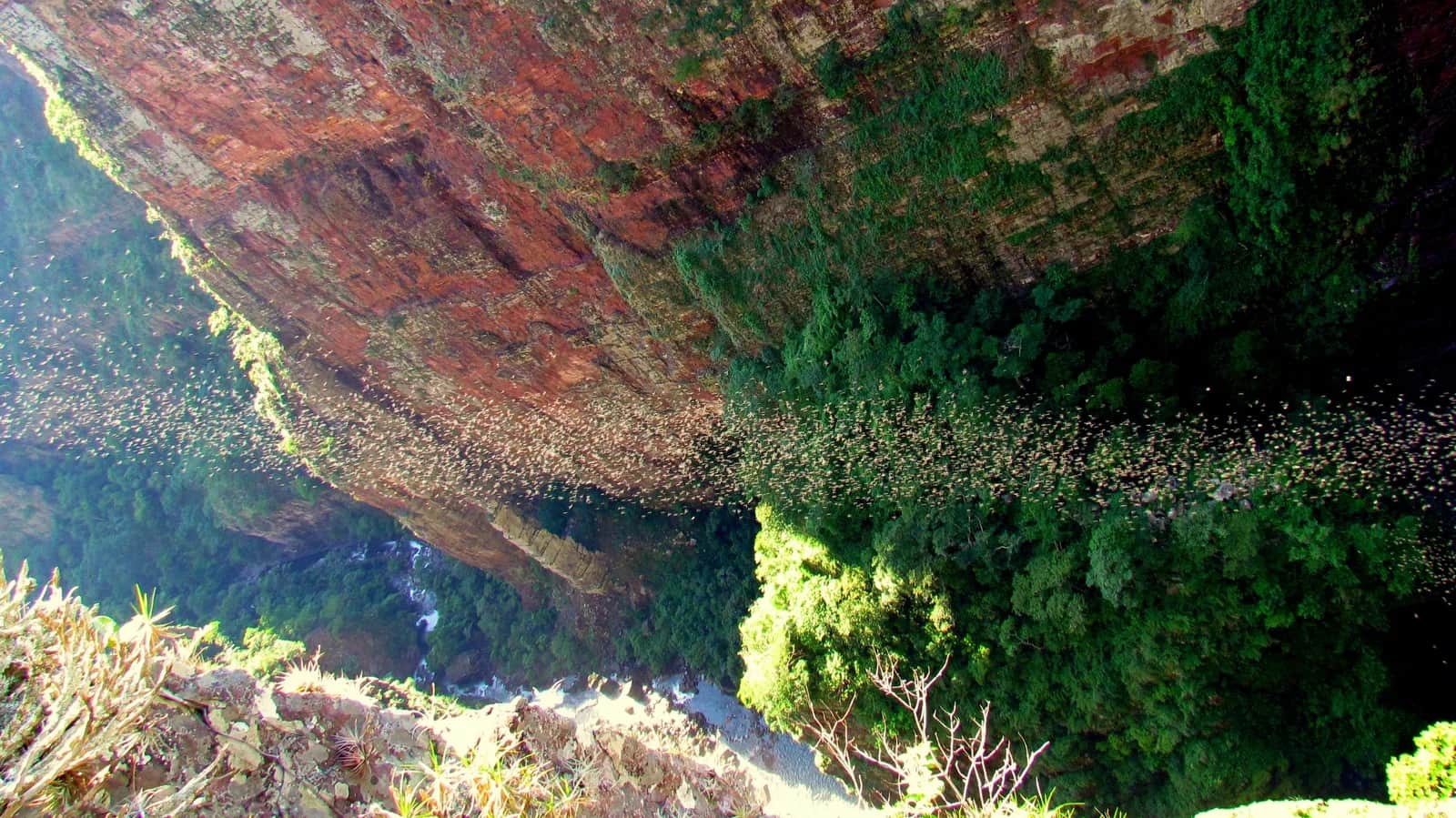 Cachoeira do Jatobá