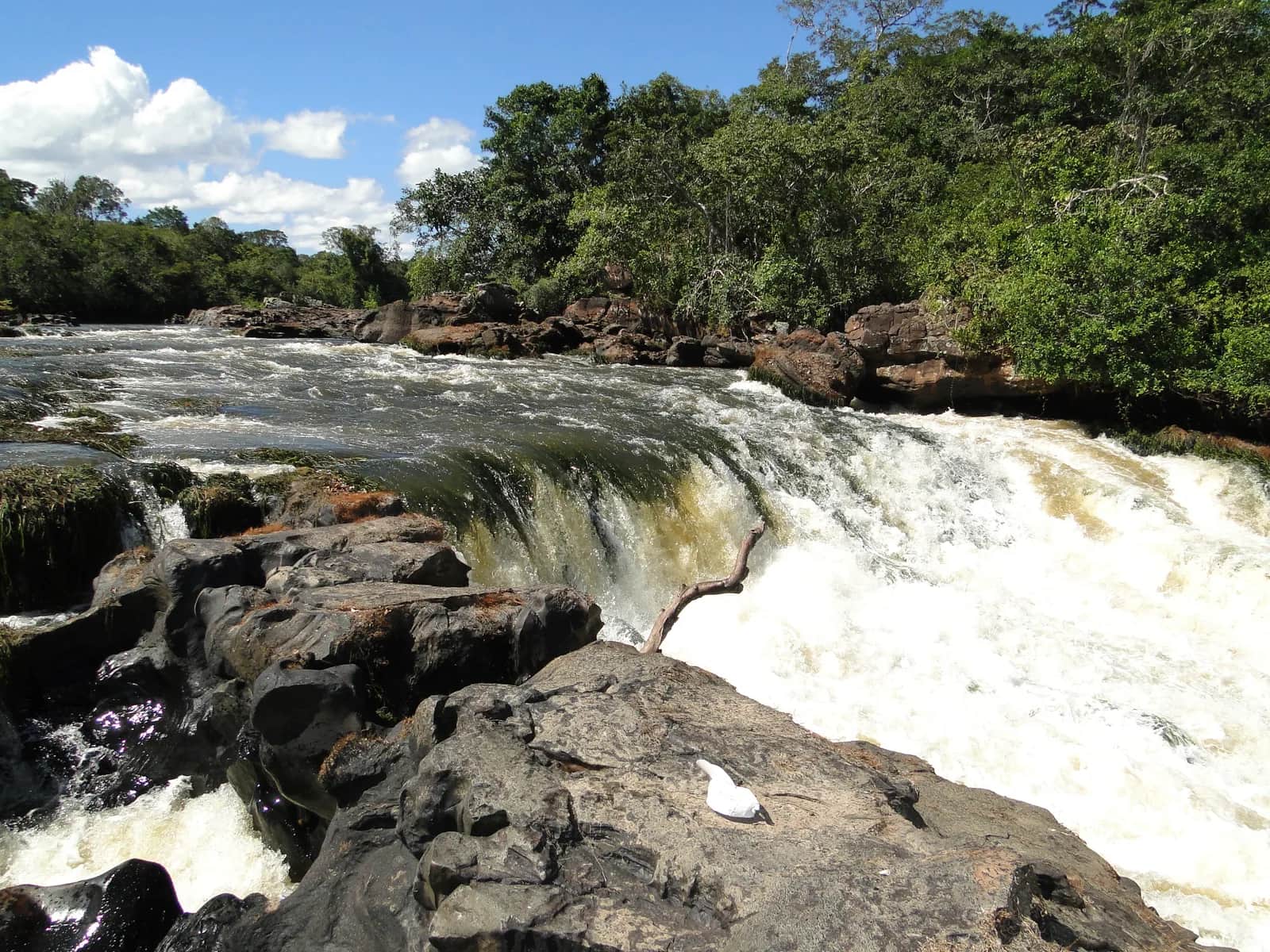 Cachoeira do Rio Cautário