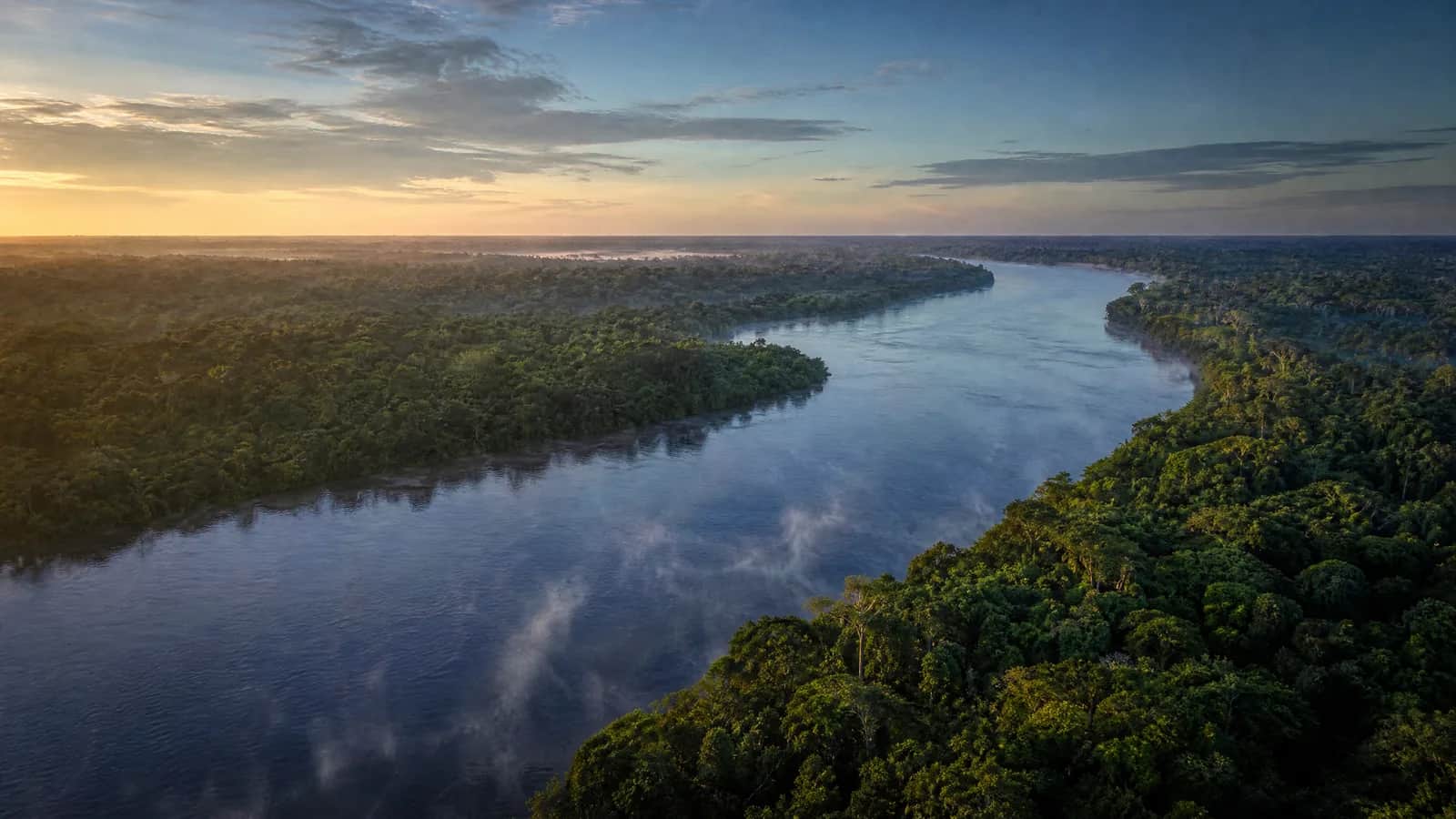 Amazônia