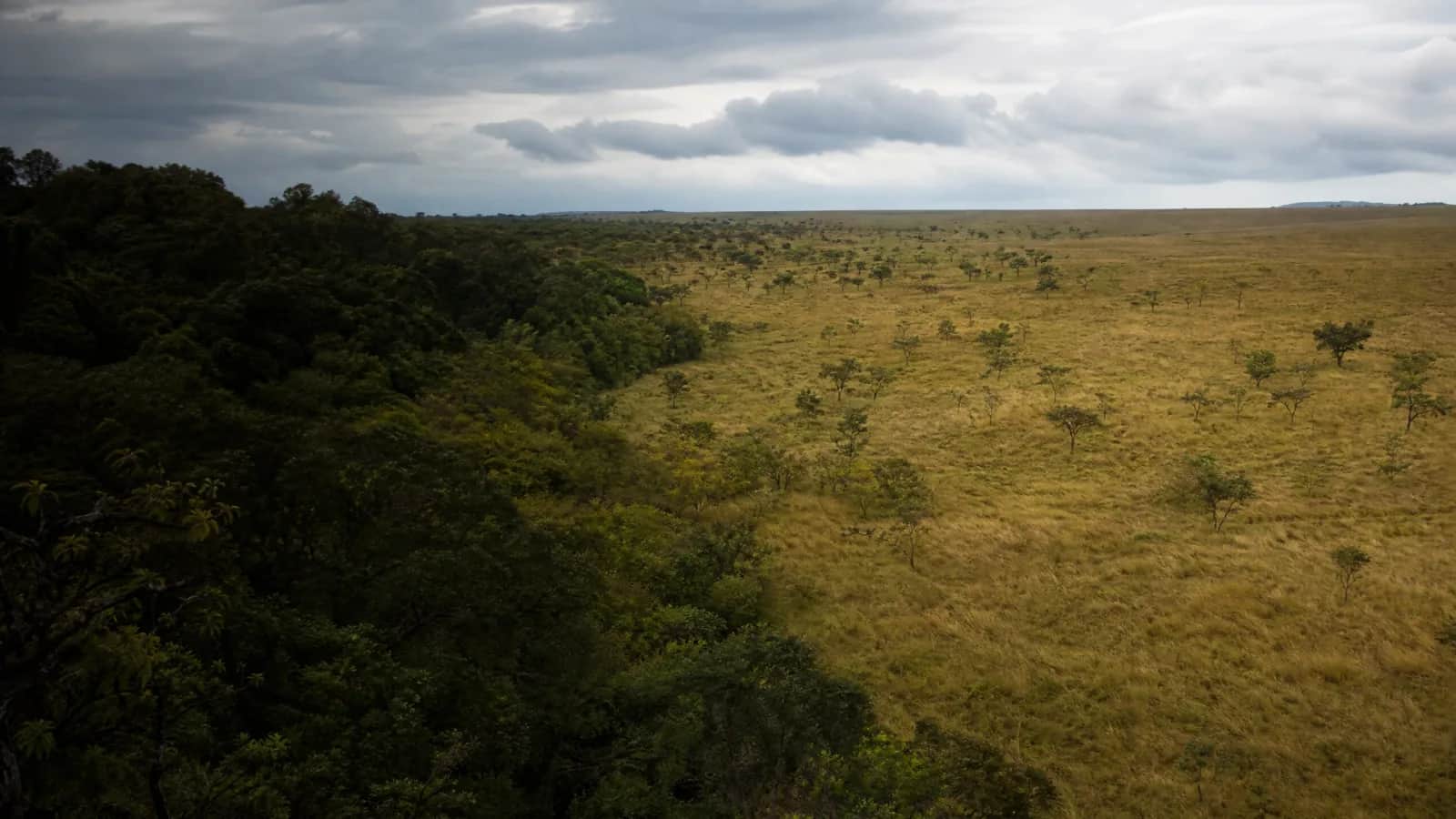 Áreas de tensão ecológica