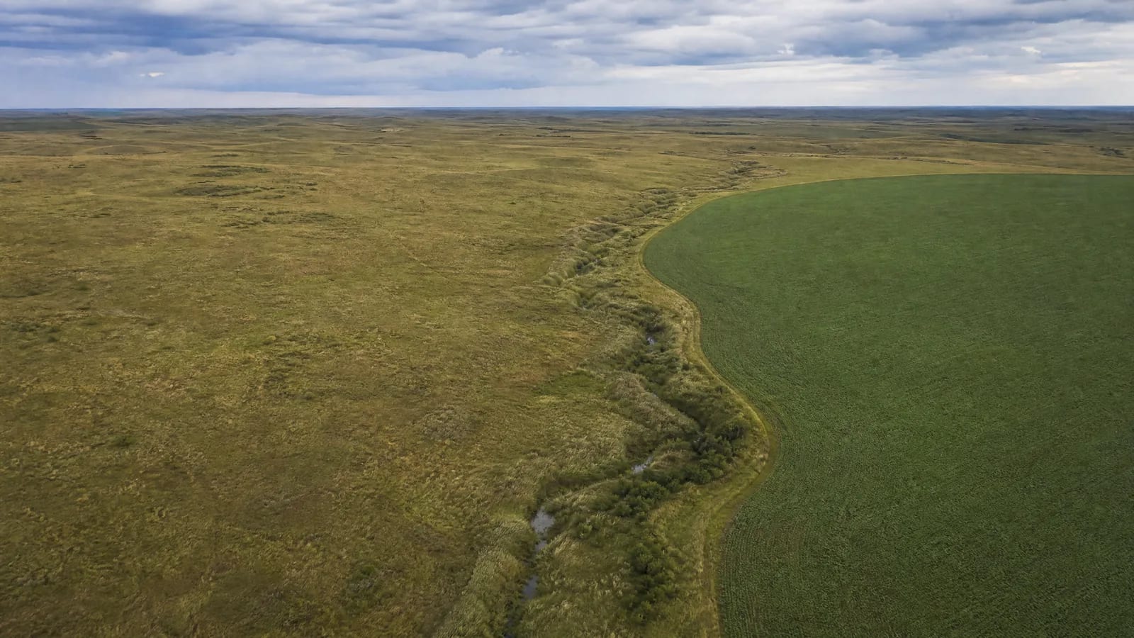 Produzir é escolher o que a paisagem terá de suportar.