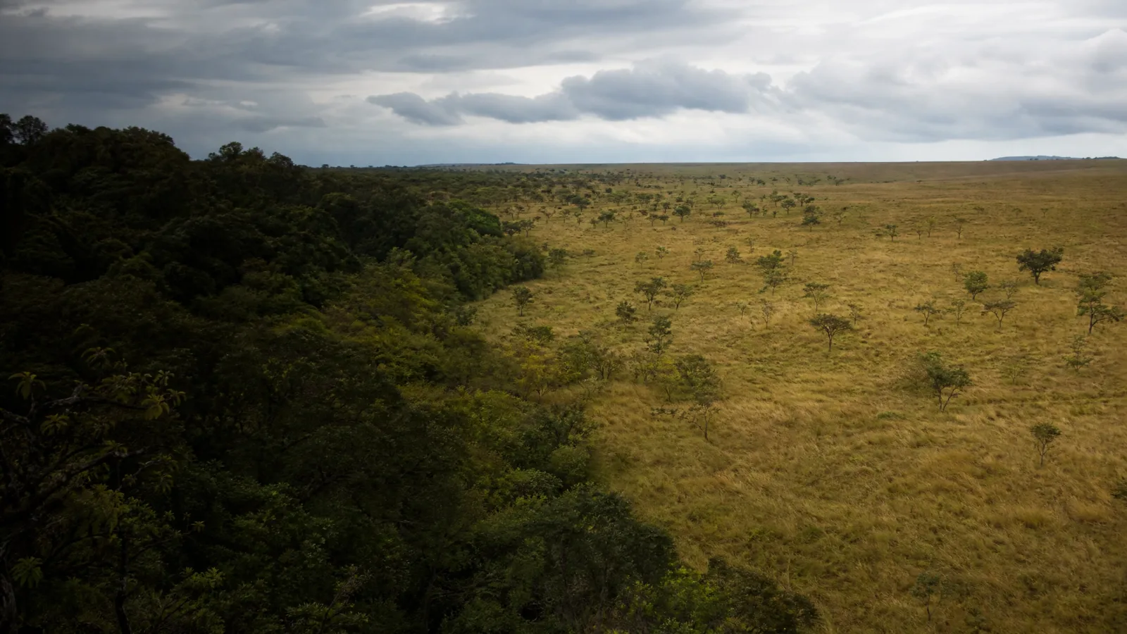 Áreas de tensão ecológica