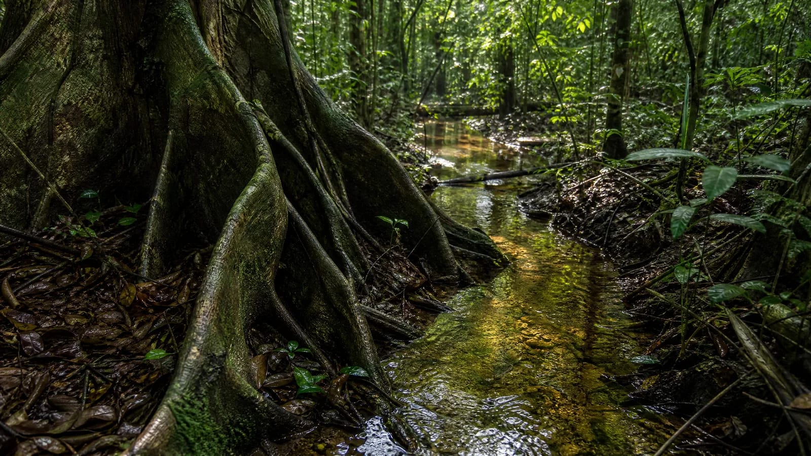 Uma paisagem também sustenta pessoas.