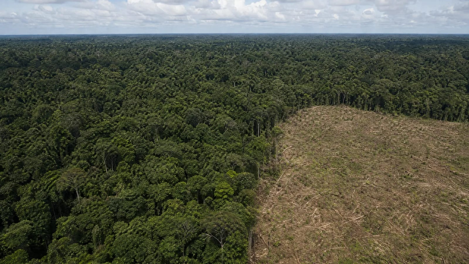 Produzir é escolher o que a paisagem terá de suportar.