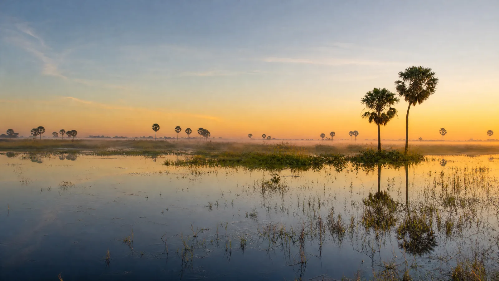Pantanal — 1