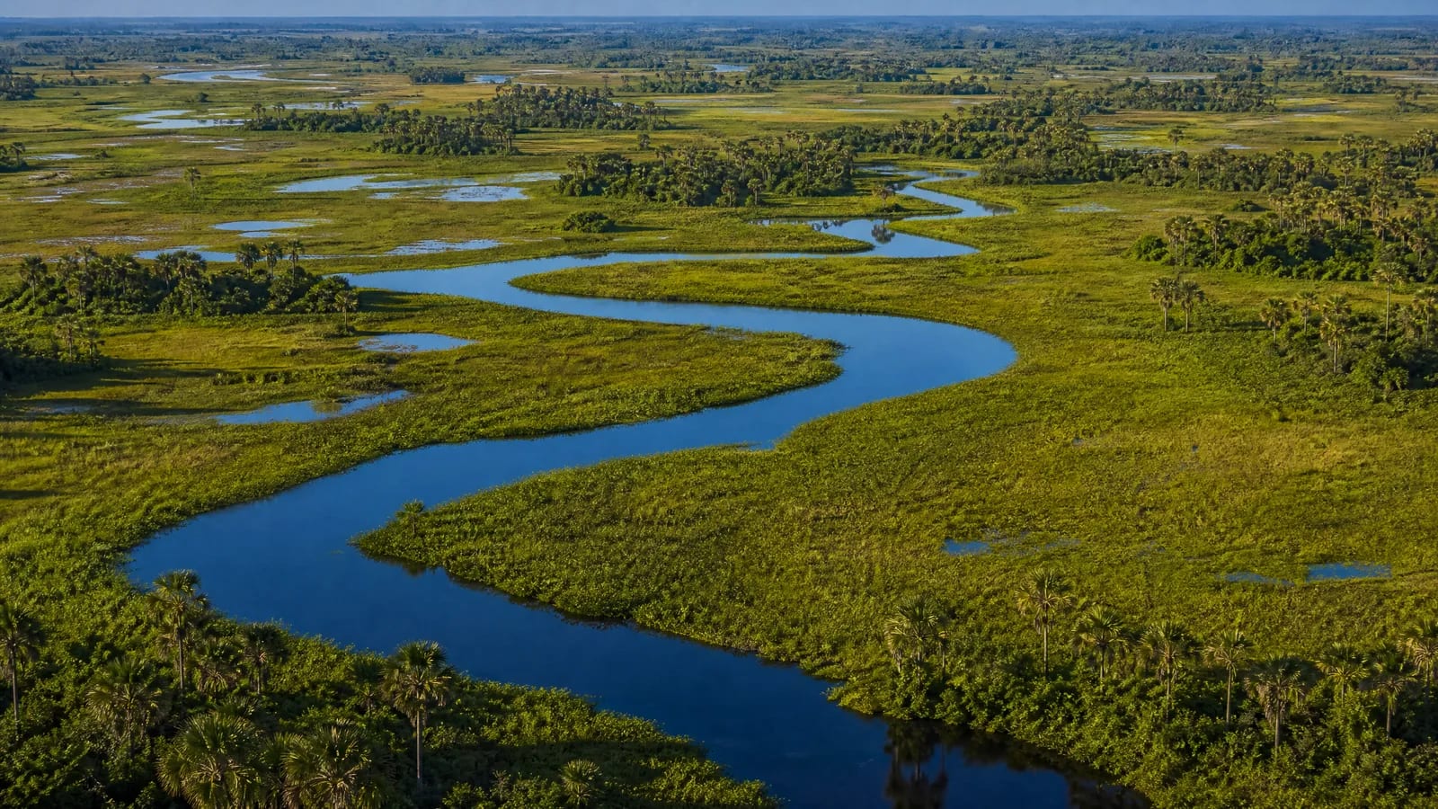 Pantanal — 4