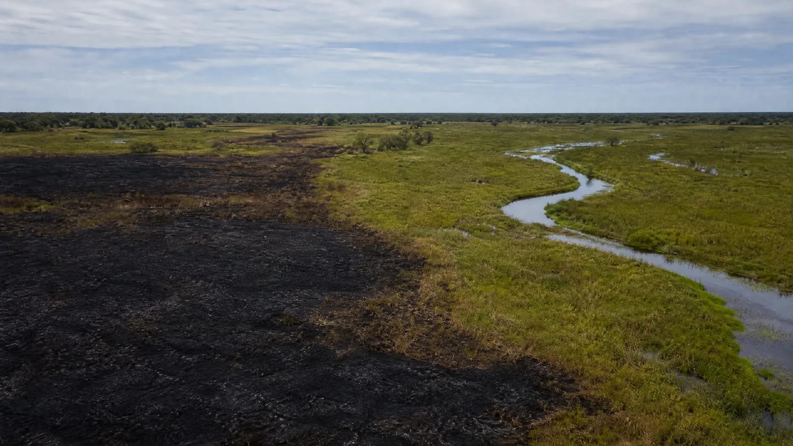 Pantanal — 5