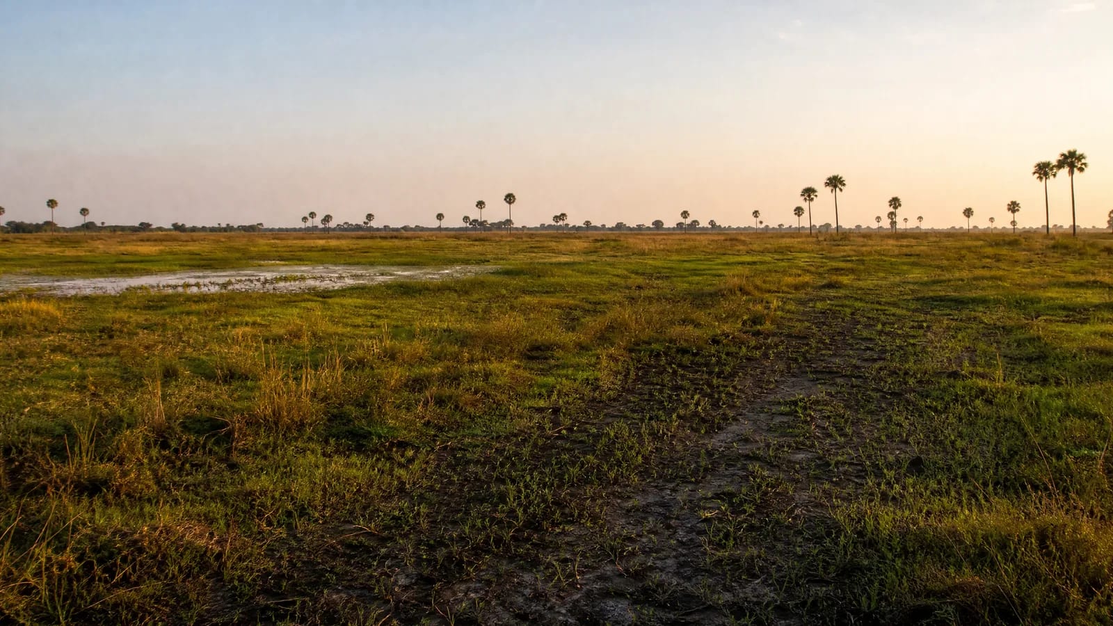 Pantanal — 7