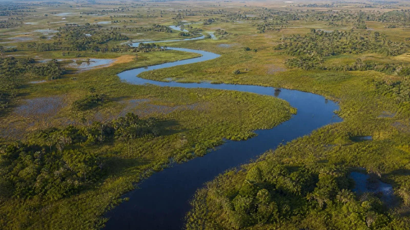 Pantanal — 9