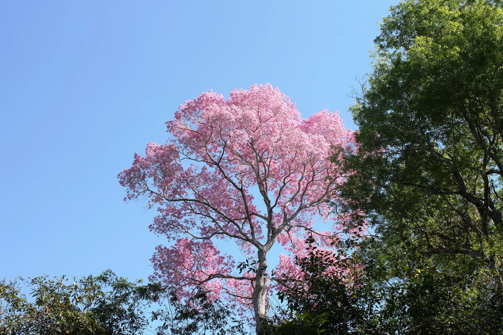 Uma paisagem também sustenta pessoas.