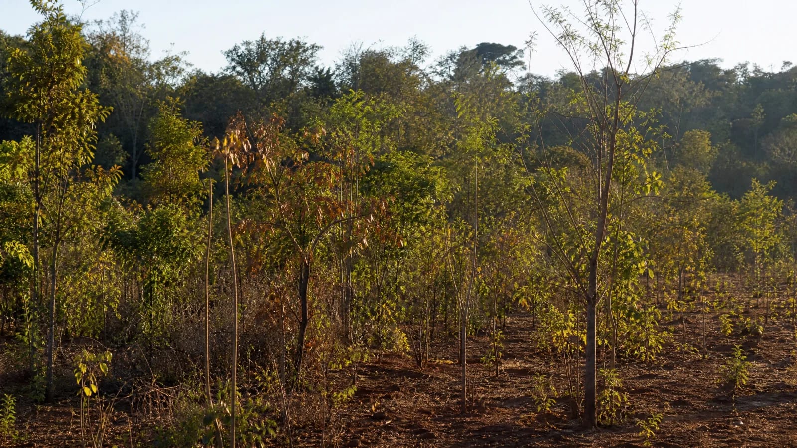 O território continua presente depois que o produto sai de cena.