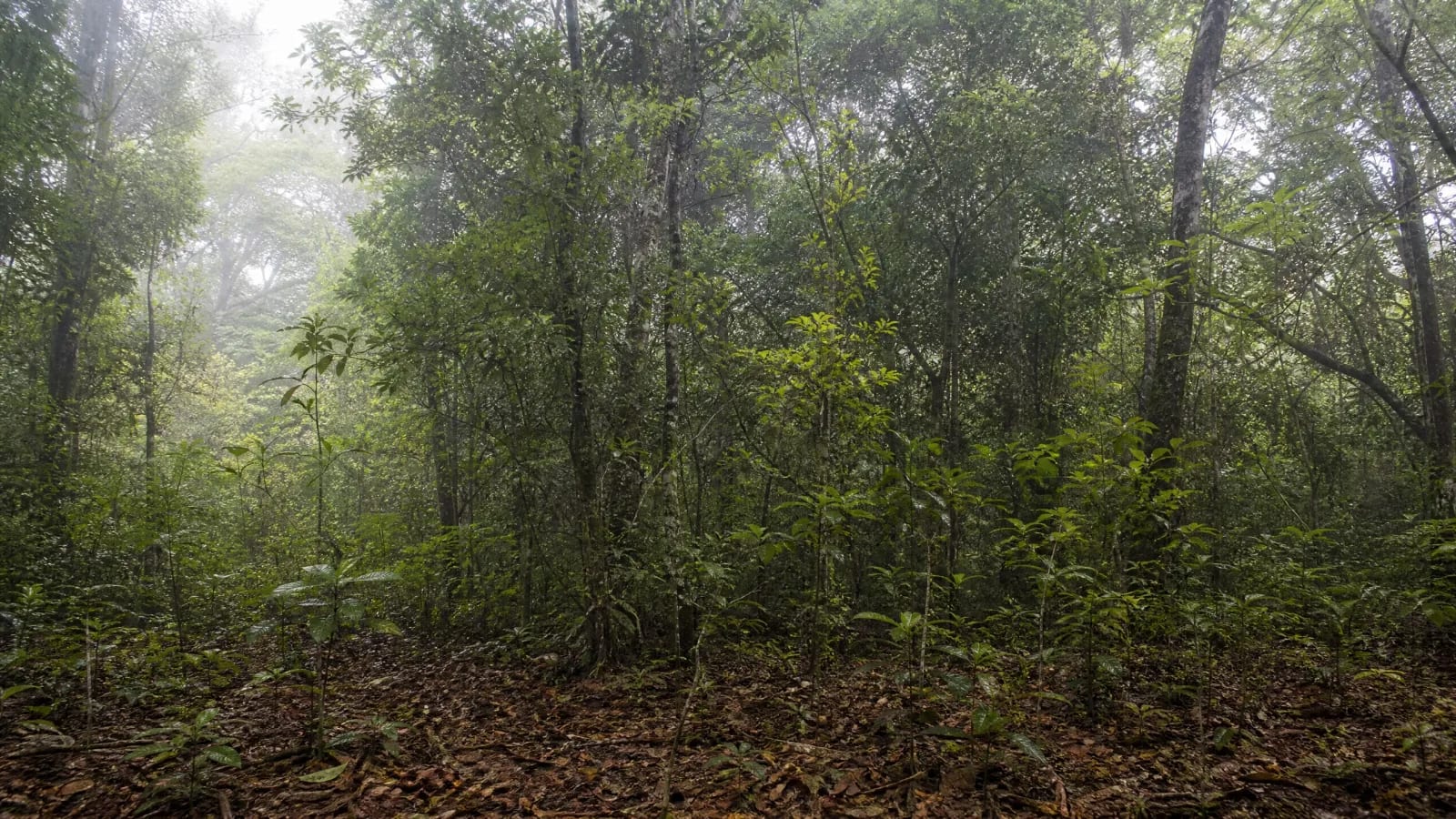 O território continua presente depois que o produto sai de cena.