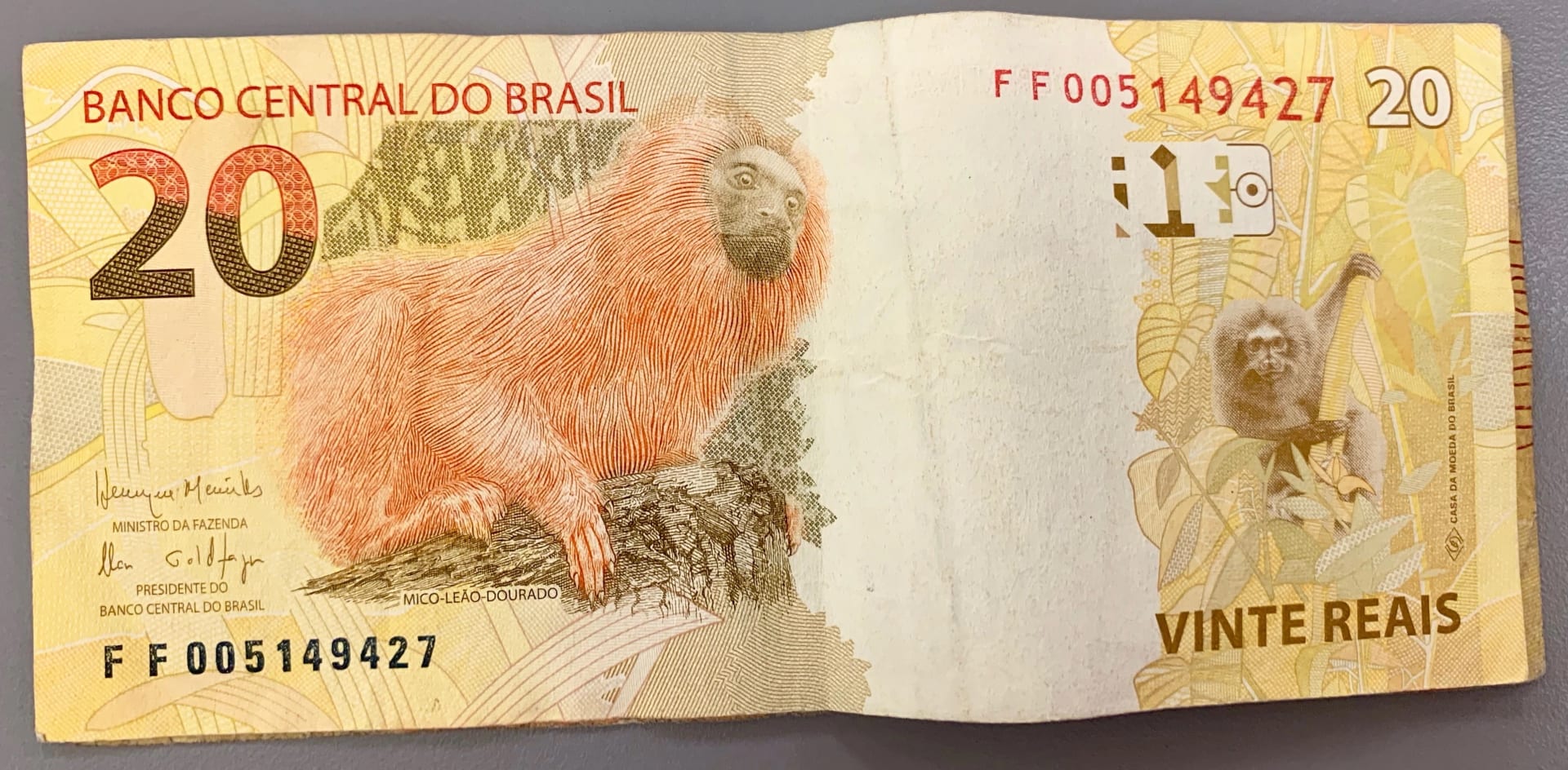 Cédulas de vinte reais brasileiras dispostas em leque, com a estampa do mico-leão-dourado